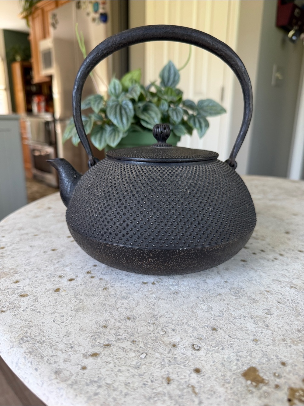 Cast Iron Teapot Kettle - Black
